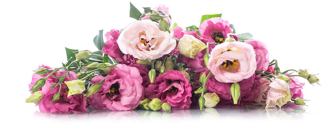 Romantic bouquet with pink and red lisianthus flowers